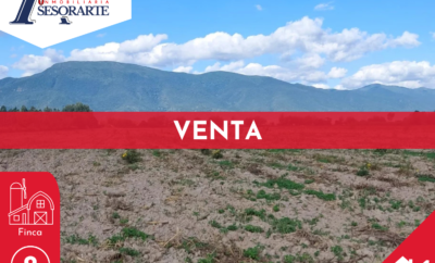 VENTA – Finca camino a San Agustin (37 y 23 has)