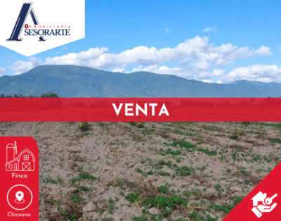 VENTA – Finca camino a San Agustin (27 y 23 has)