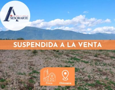 VENTA – Finca camino a San Agustin (37 y 23 has)